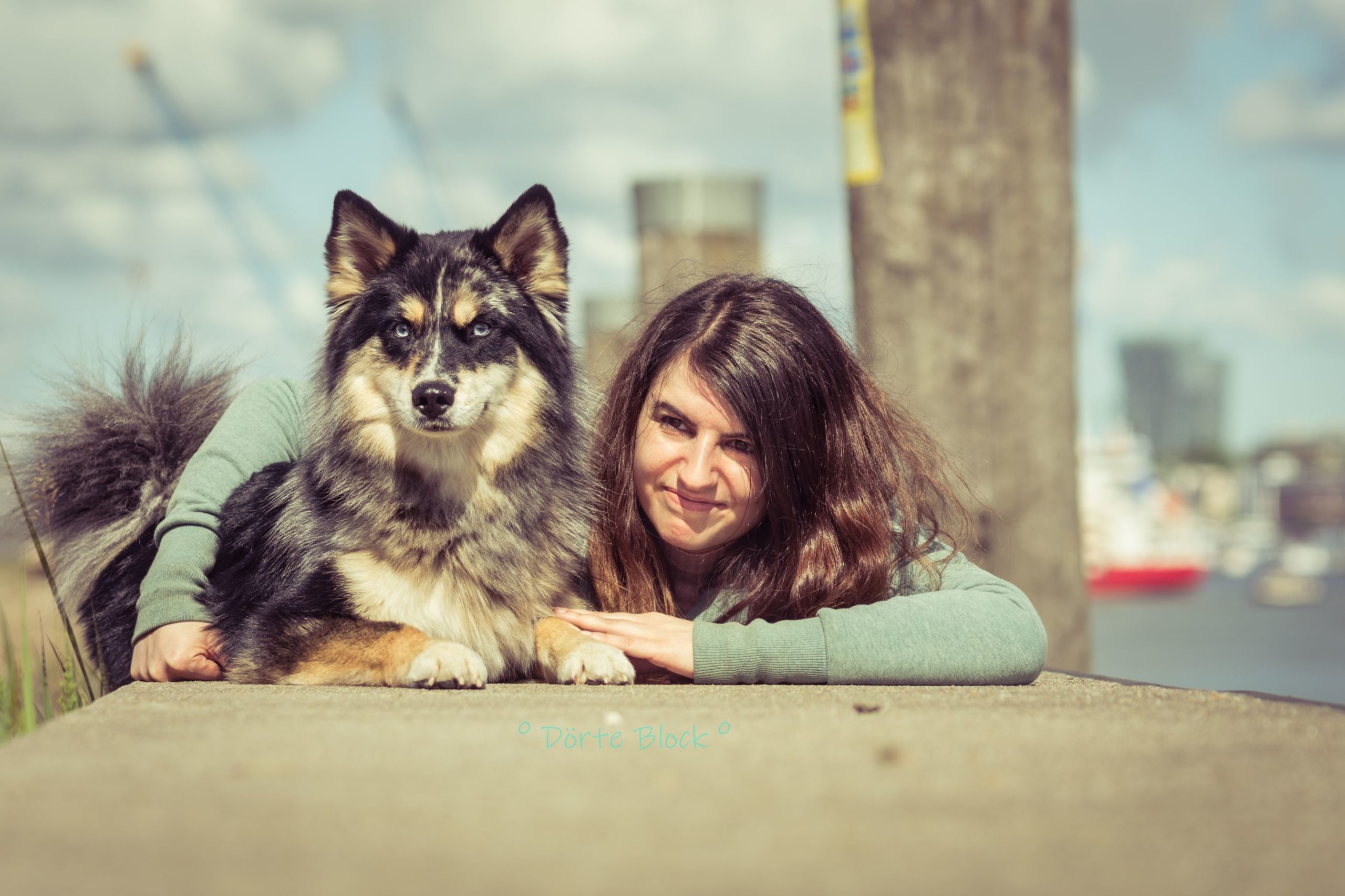 Pomsky "Aro" und Besitzerin liegen auf einem Steg am Hamburger Hafen.