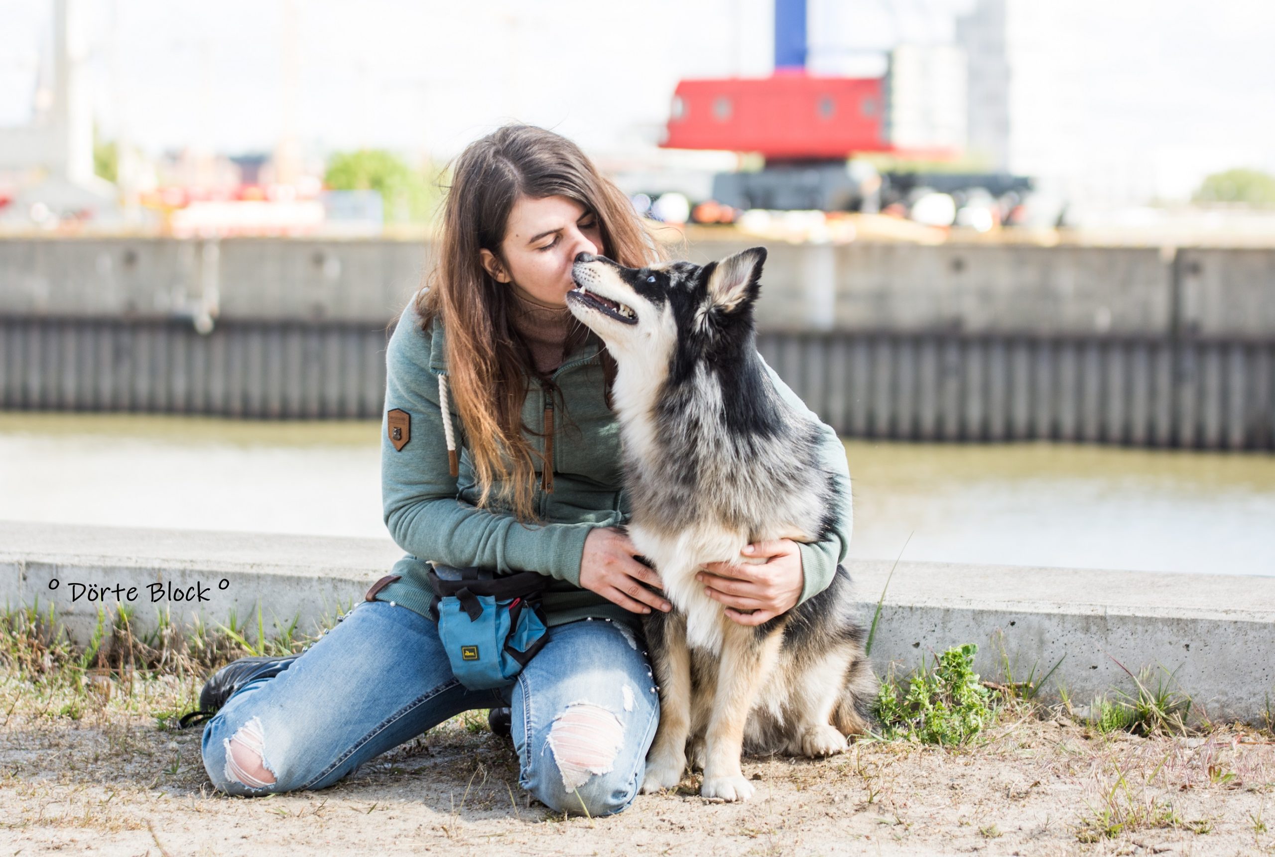 Pomsky küsst Besitzerin auf ihre Nase.